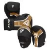 RDX Sports RDX T17 Aura Plus Boxing Glove With Pads Bundle