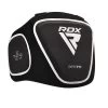 RDX Sports Store RDX T1 Coach Belly Protector