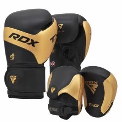 RDX Sports Store RDX T13 Boxing Gloves & Focus Pads Golden / Black